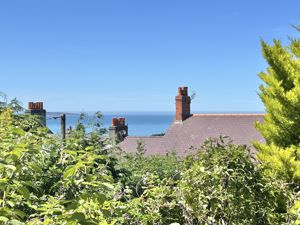 Photo 44- click for photo gallery